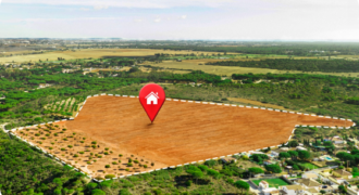 Plot/Land for Sale in Nelapadu Amaravati